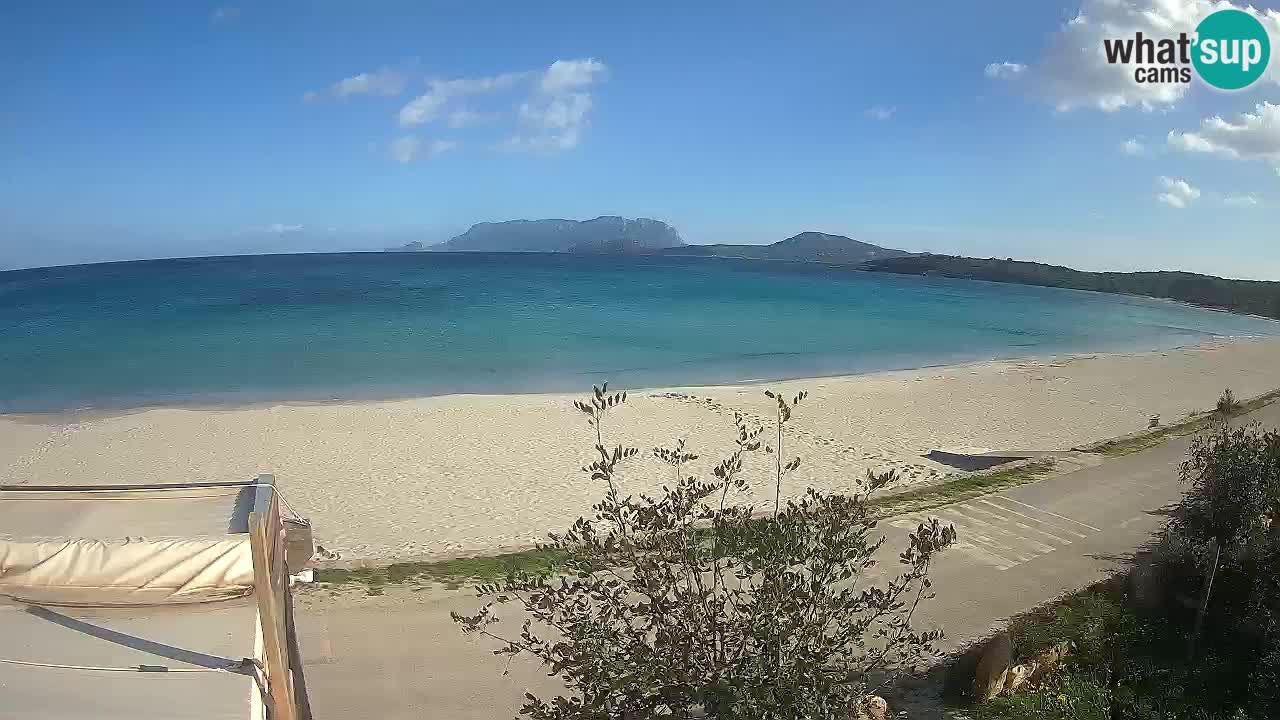 La webcam spiaggia Pittulongu vicino Olbia – Sardegna