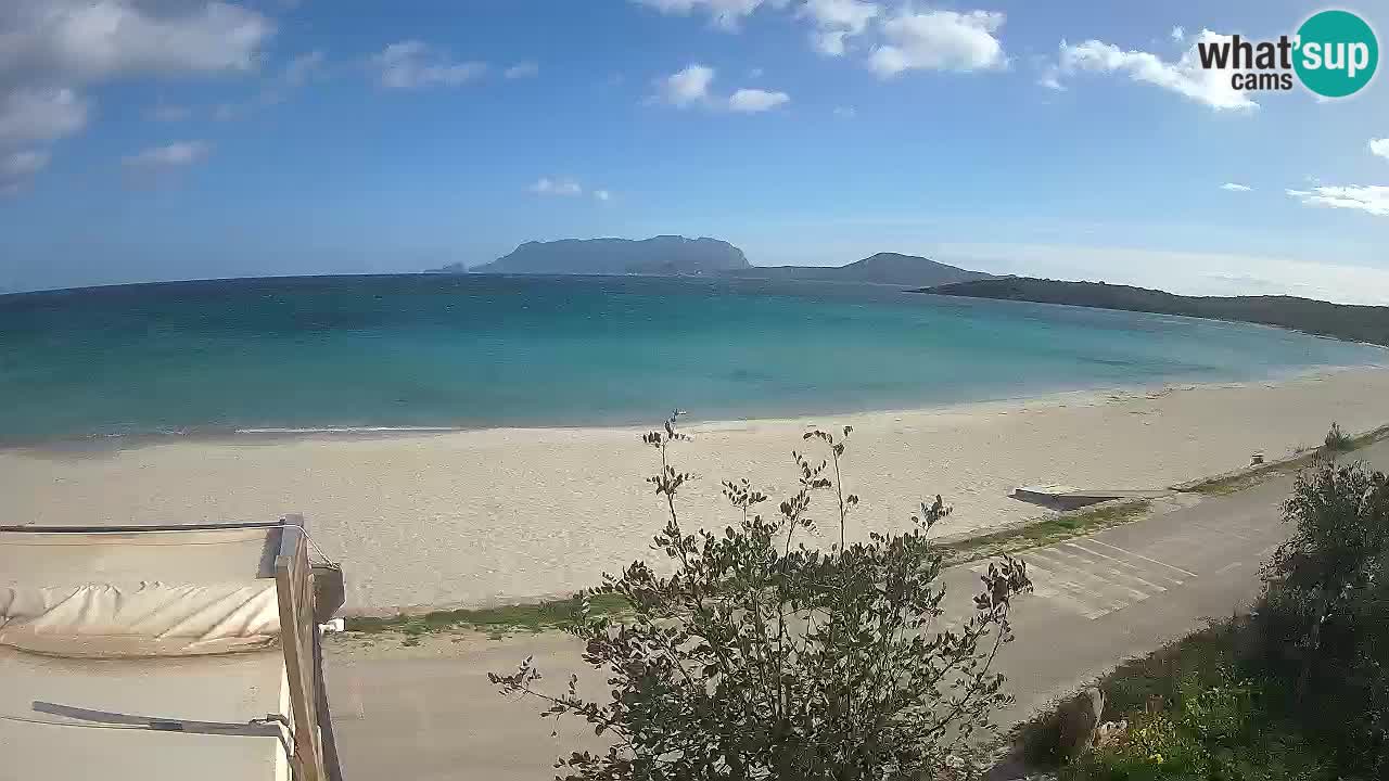 Der Strand von Pittulongu Live-Webcam Olbia – Sardinien – Italien