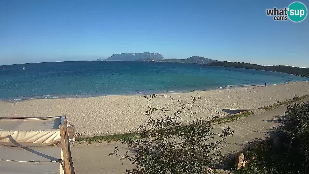 Plaža Pittulongu spletna kamera v živo Olbia – Sardinija – Italija