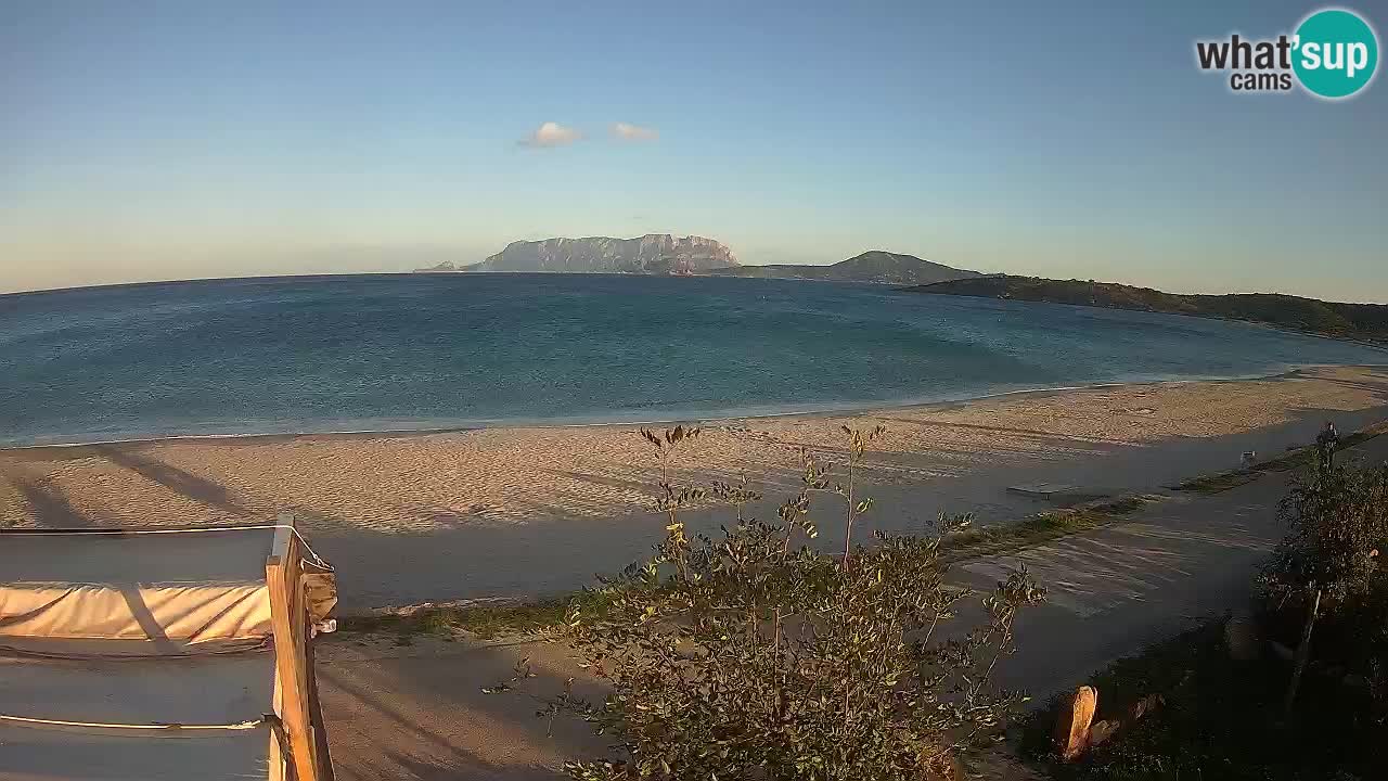 Plaža Pittulongu spletna kamera v živo Olbia – Sardinija – Italija