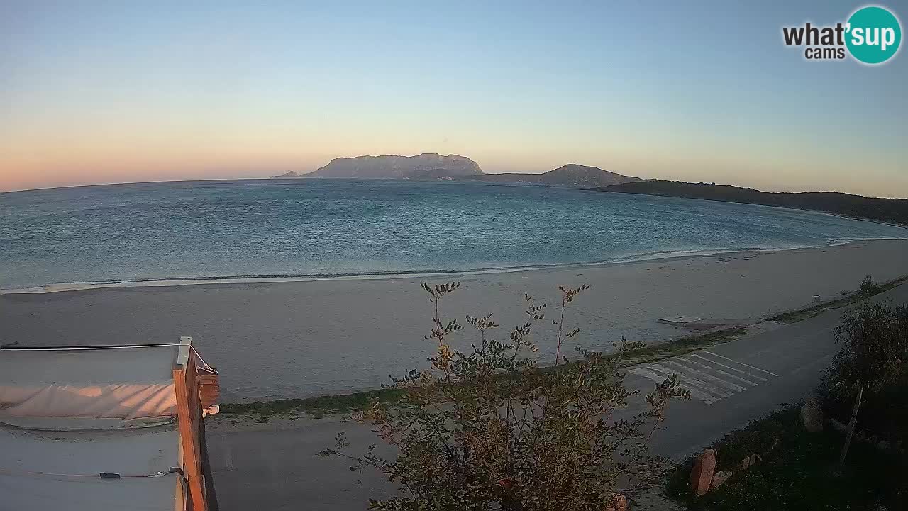 La playa de Pittulongu webcam en vivo Olbia – Cerdeña – Italia