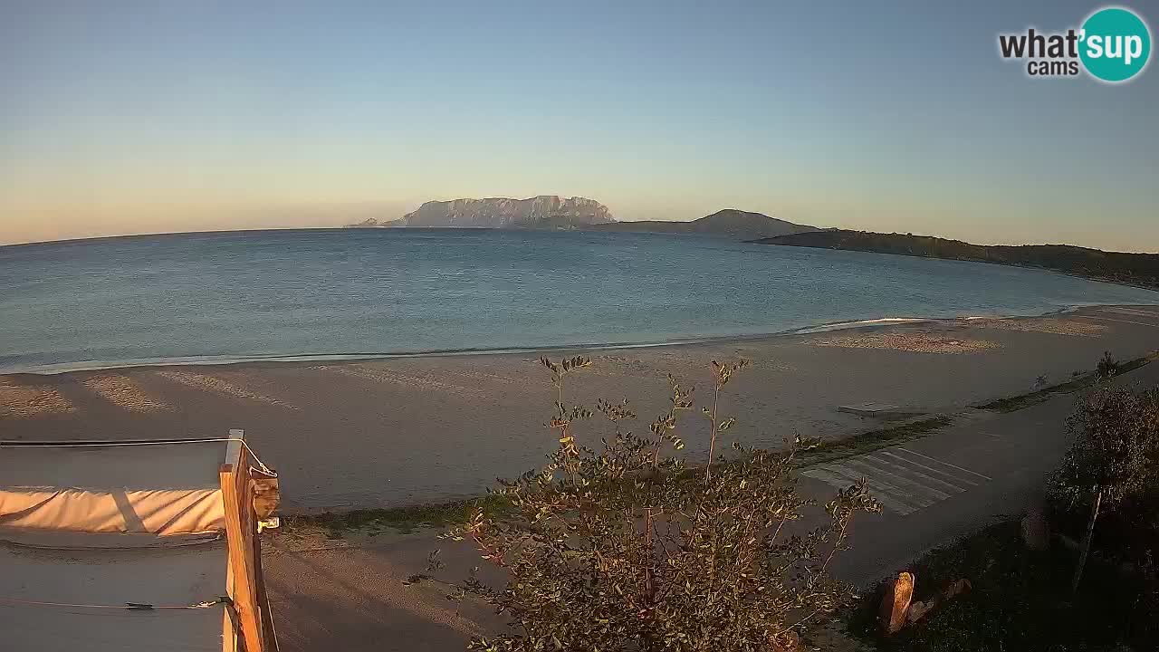 La playa de Pittulongu webcam en vivo Olbia – Cerdeña – Italia