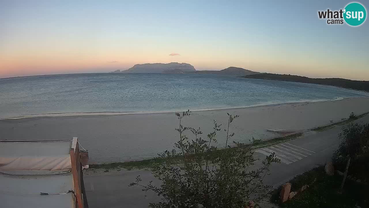 La webcam spiaggia Pittulongu vicino Olbia – Sardegna