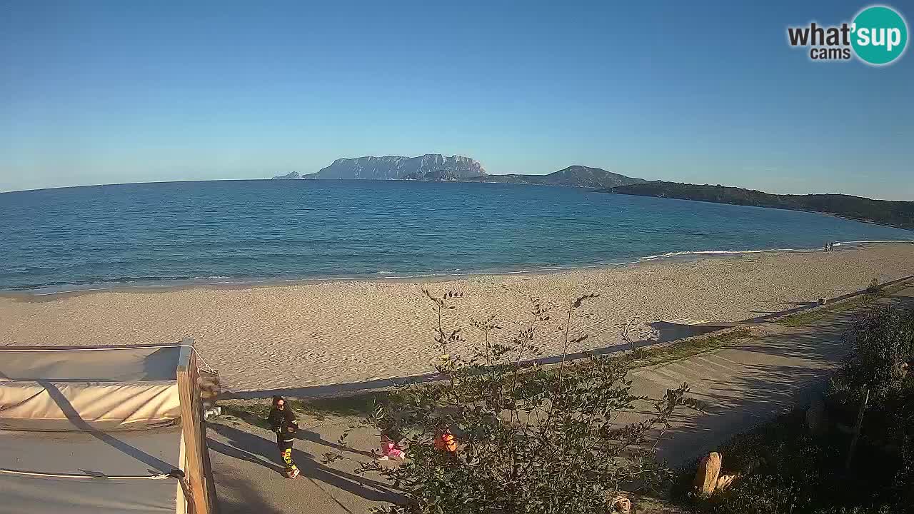 Plaža Pittulongu spletna kamera v živo Olbia – Sardinija – Italija