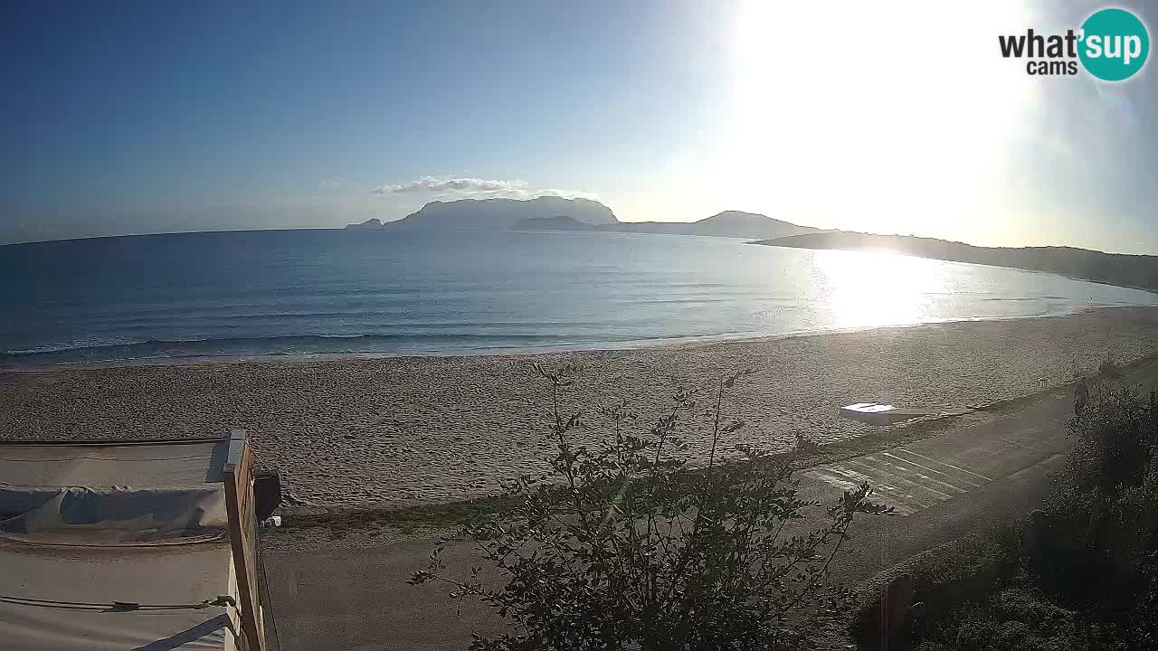 Plaža Pittulongu spletna kamera v živo Olbia – Sardinija – Italija