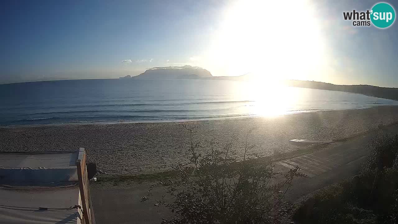 Plaža Pittulongu spletna kamera v živo Olbia – Sardinija – Italija