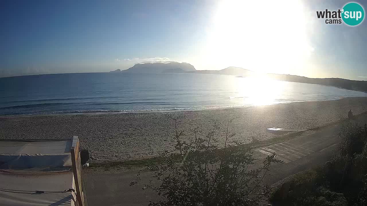 La playa de Pittulongu webcam en vivo Olbia – Cerdeña – Italia