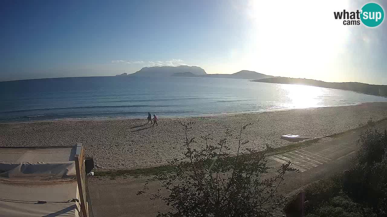 Plaža Pittulongu spletna kamera v živo Olbia – Sardinija – Italija