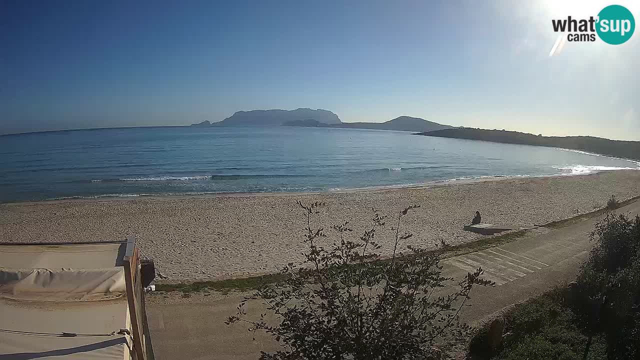 Plaža Pittulongu spletna kamera v živo Olbia – Sardinija – Italija