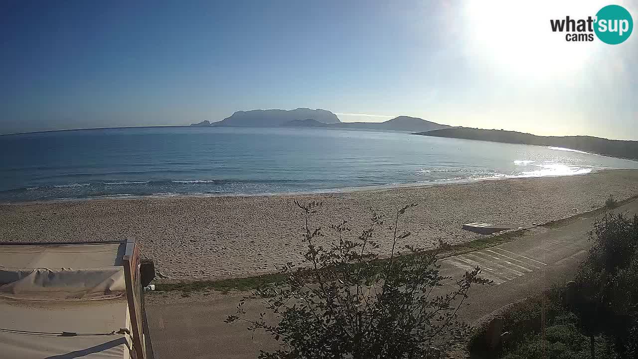 Plaža Pittulongu spletna kamera v živo Olbia – Sardinija – Italija