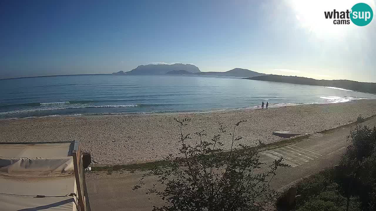 La playa de Pittulongu webcam en vivo Olbia – Cerdeña – Italia