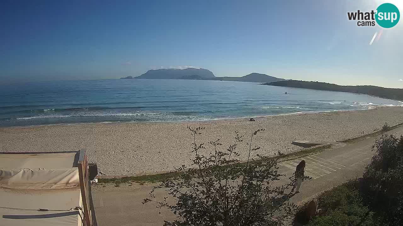 Plaža Pittulongu spletna kamera v živo Olbia – Sardinija – Italija