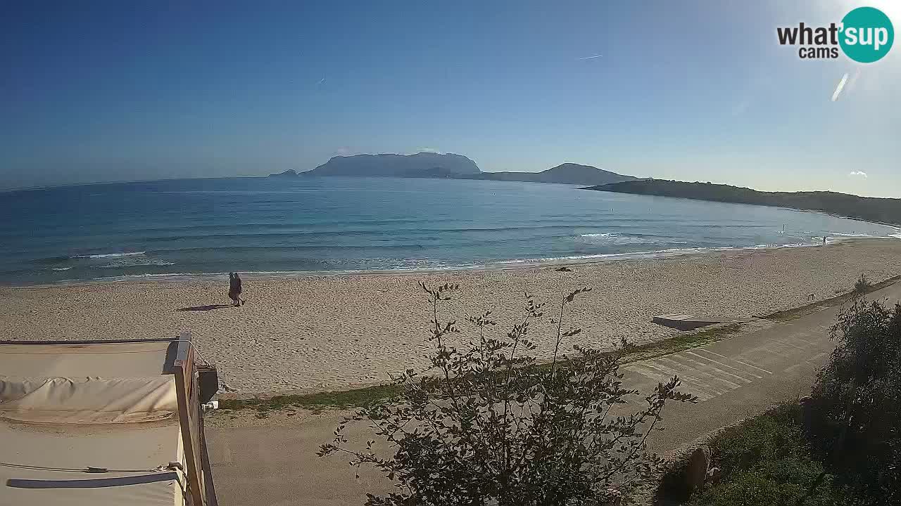 Der Strand von Pittulongu Live-Webcam Olbia – Sardinien – Italien