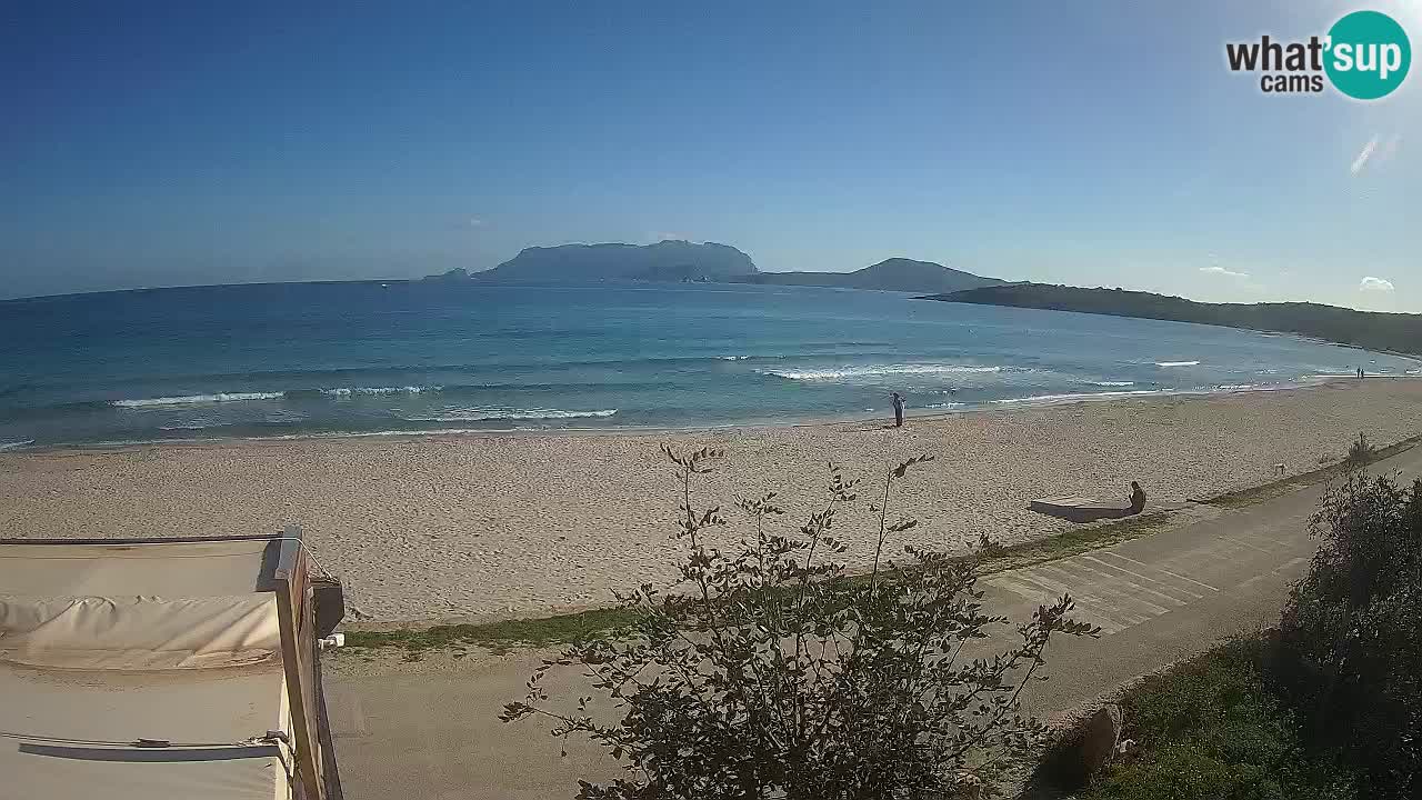 Plaža Pittulongu spletna kamera v živo Olbia – Sardinija – Italija