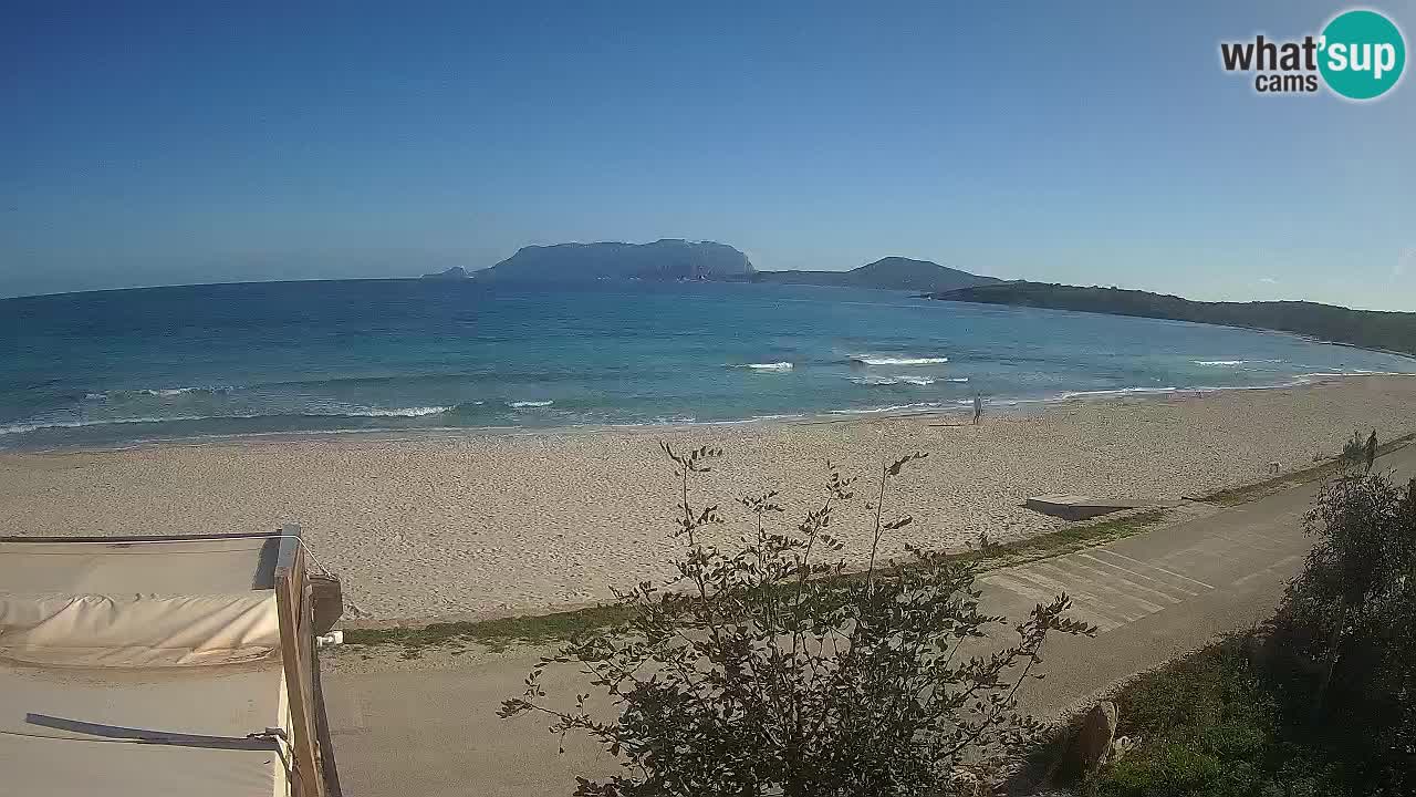 Plaža Pittulongu spletna kamera v živo Olbia – Sardinija – Italija