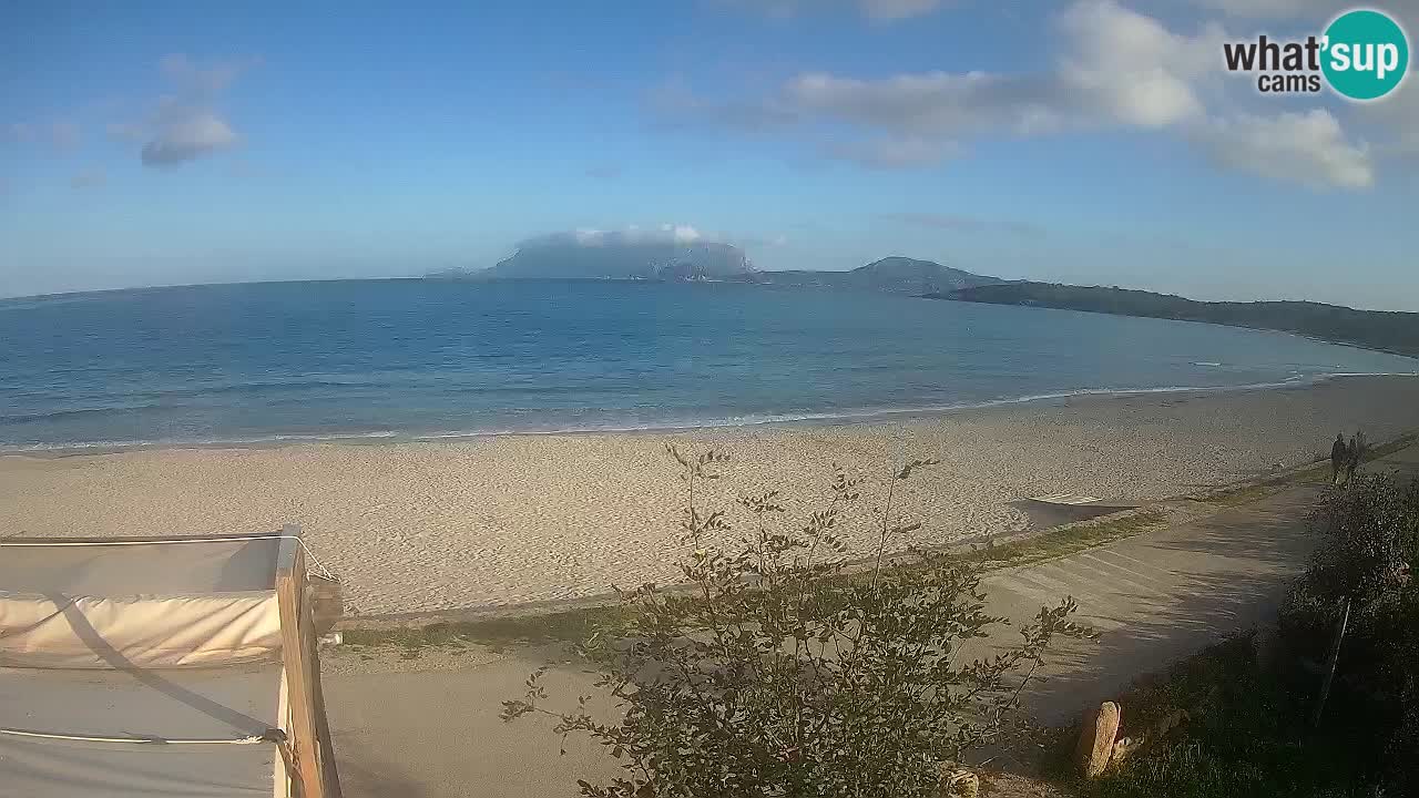 La webcam spiaggia Pittulongu vicino Olbia – Sardegna