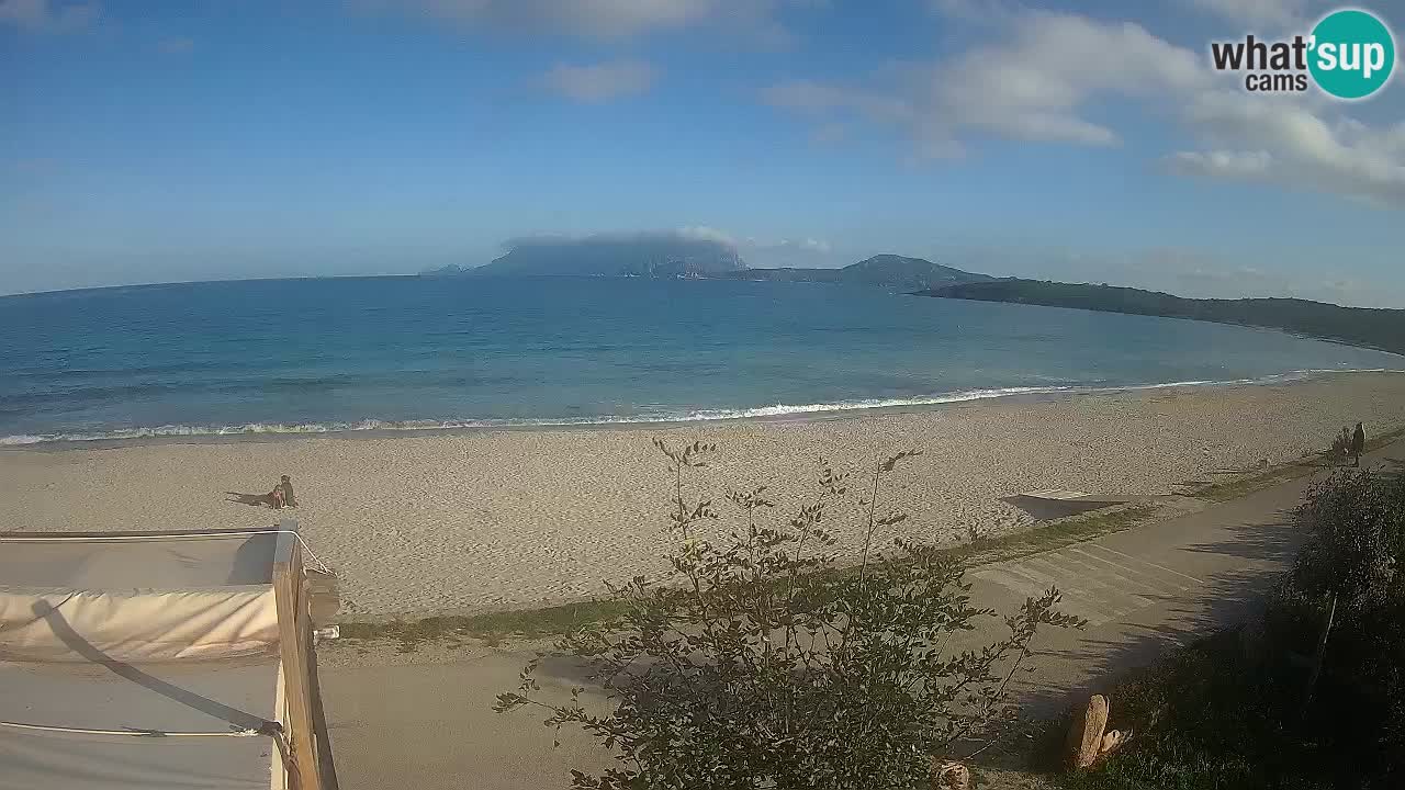 La webcam spiaggia Pittulongu vicino Olbia – Sardegna