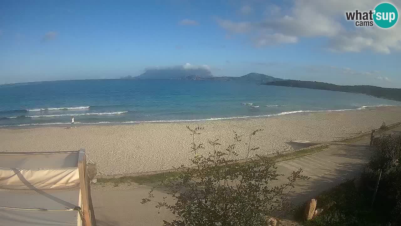 La webcam spiaggia Pittulongu vicino Olbia – Sardegna