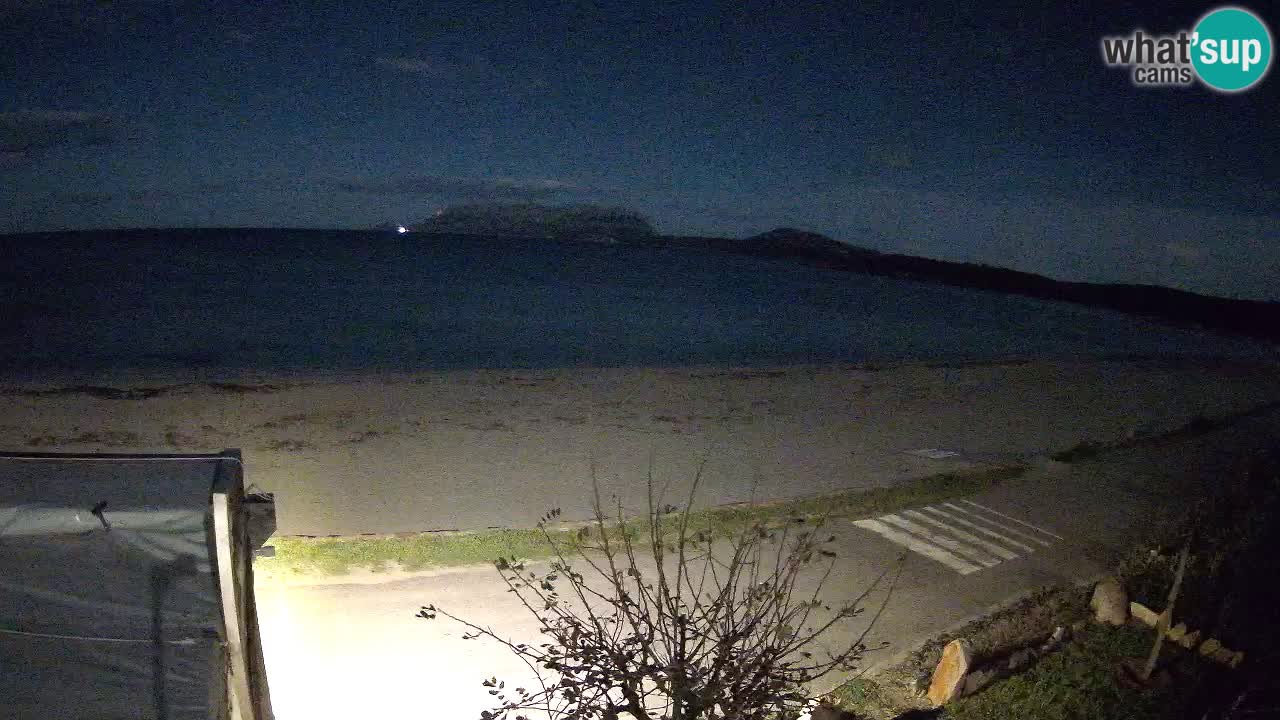 Der Strand von Pittulongu Live-Webcam Olbia – Sardinien – Italien