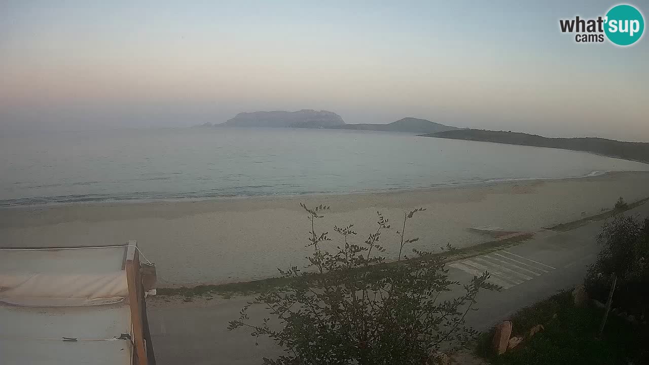 La webcam spiaggia Pittulongu vicino Olbia – Sardegna