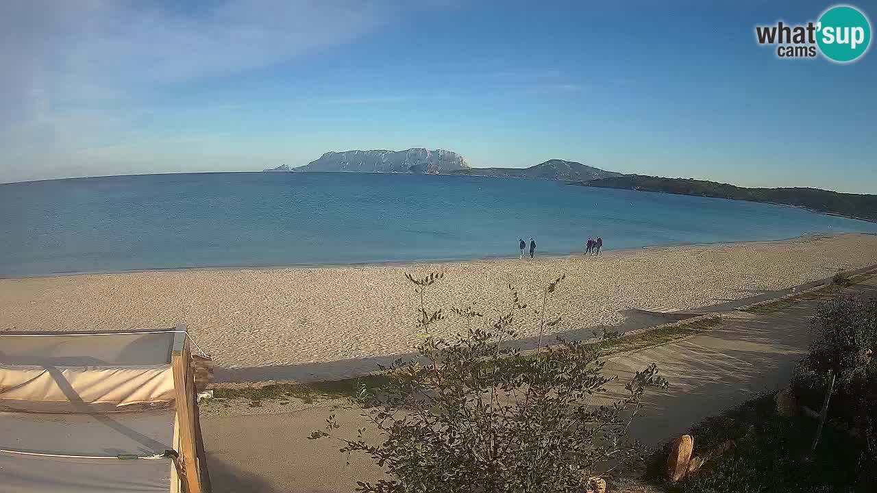 La playa de Pittulongu webcam en vivo Olbia – Cerdeña – Italia