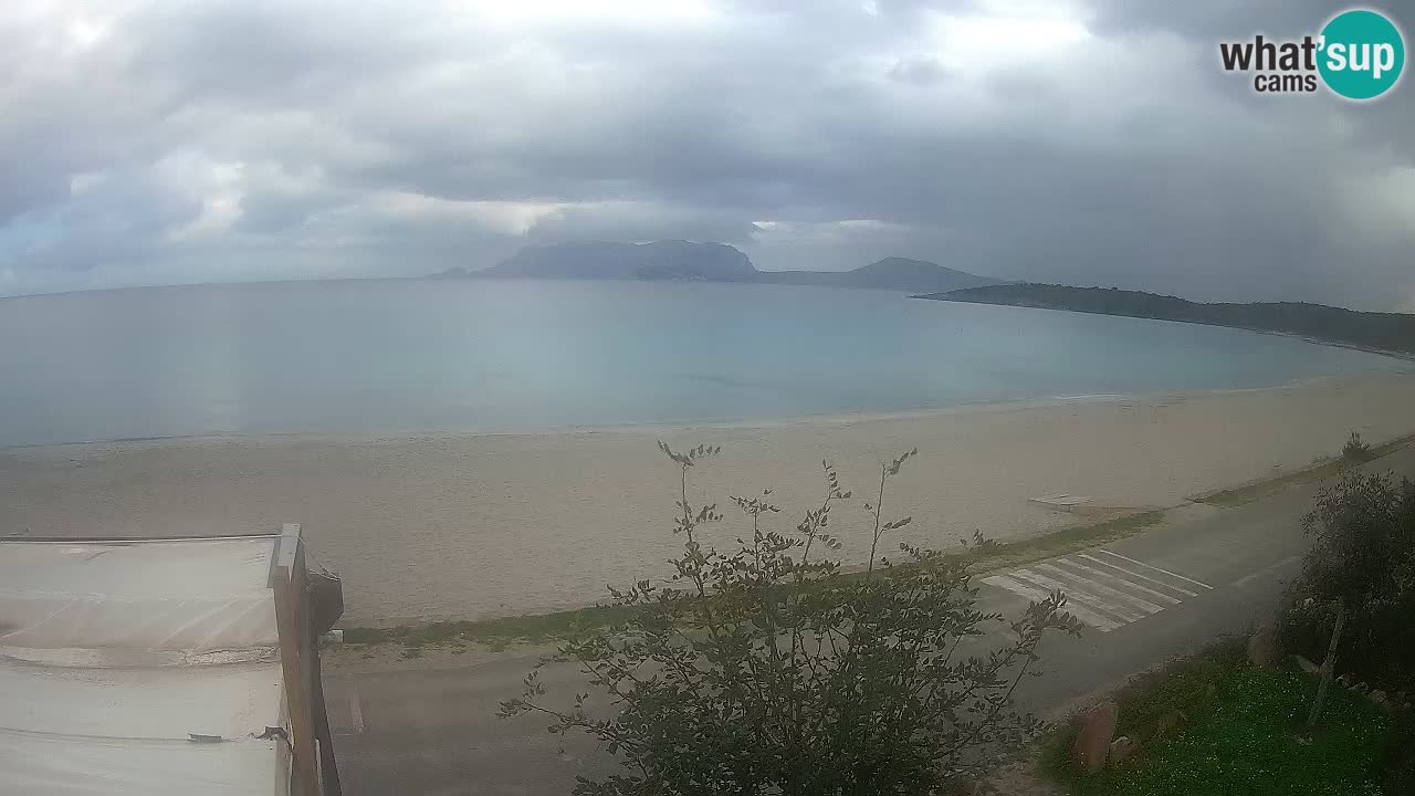 Der Strand von Pittulongu Live-Webcam Olbia – Sardinien – Italien