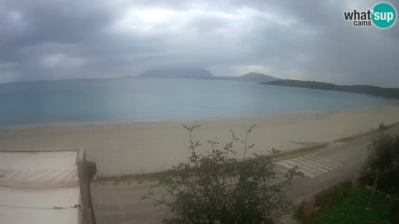 La playa de Pittulongu webcam en vivo Olbia – Cerdeña – Italia