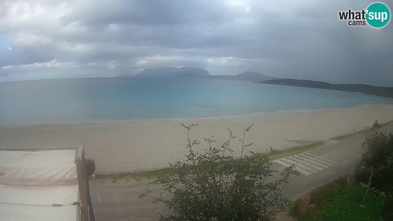 La webcam spiaggia Pittulongu vicino Olbia – Sardegna