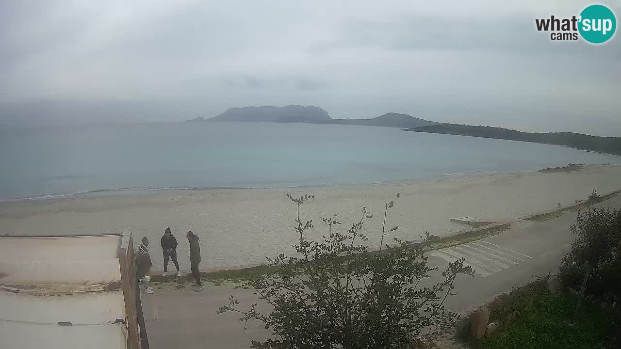 La playa de Pittulongu webcam en vivo Olbia – Cerdeña – Italia