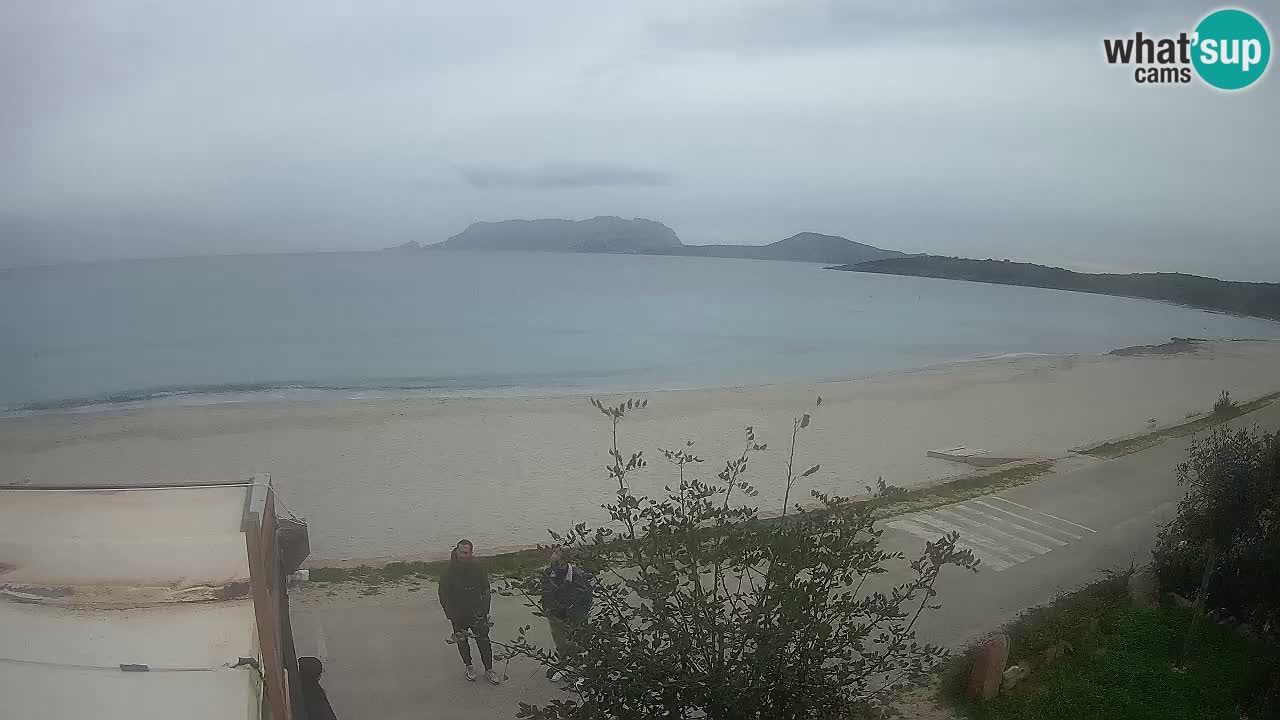 Der Strand von Pittulongu Live-Webcam Olbia – Sardinien – Italien