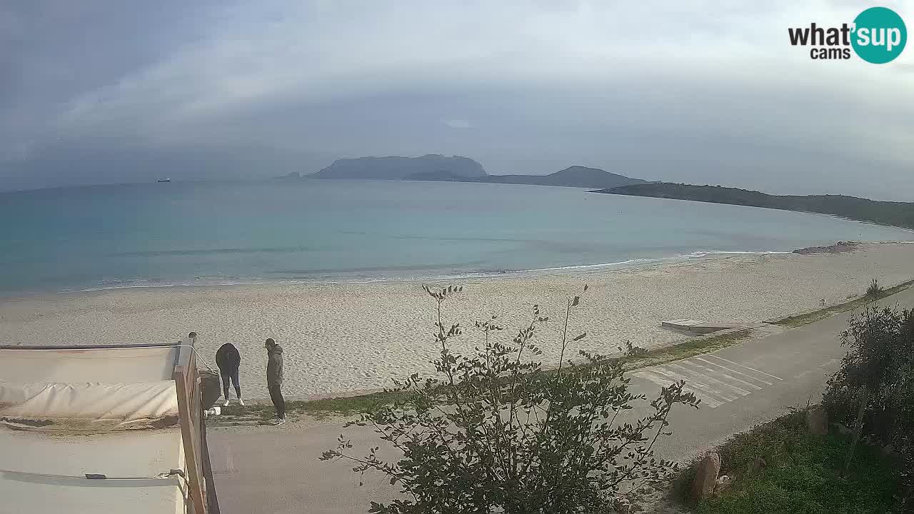 Der Strand von Pittulongu Live-Webcam Olbia – Sardinien – Italien