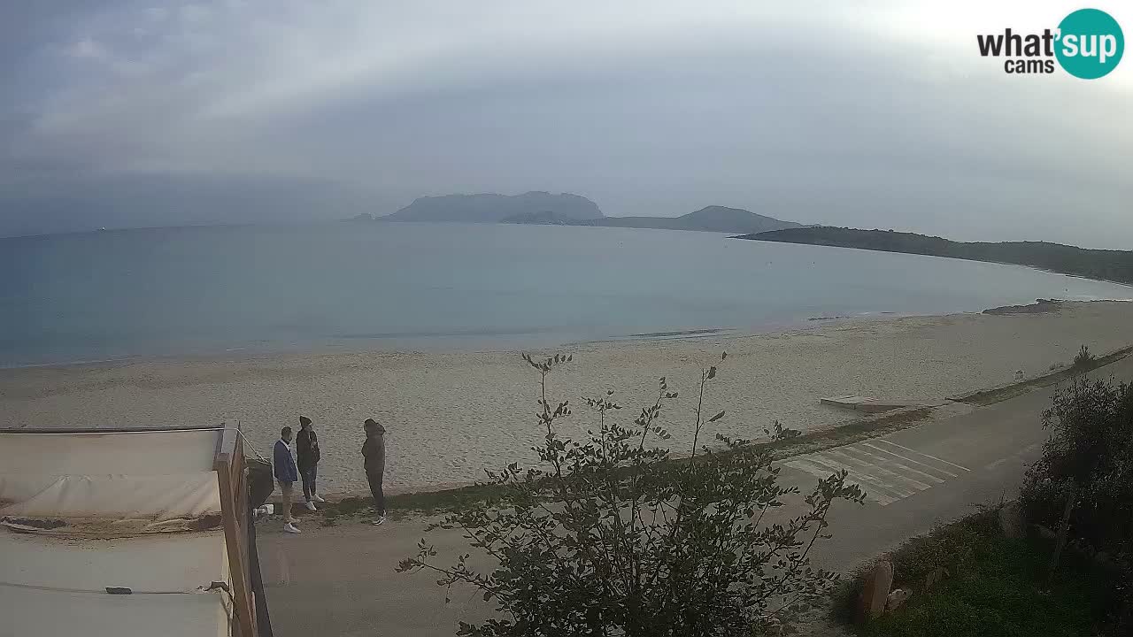 Der Strand von Pittulongu Live-Webcam Olbia – Sardinien – Italien