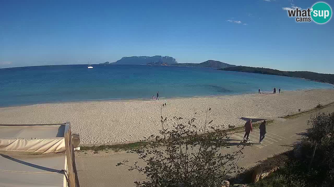 The beach of Pittulongu live webcam Olbia – Sardinia – Italy