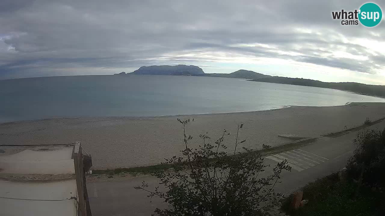 Plaža Pittulongu spletna kamera v živo Olbia – Sardinija – Italija