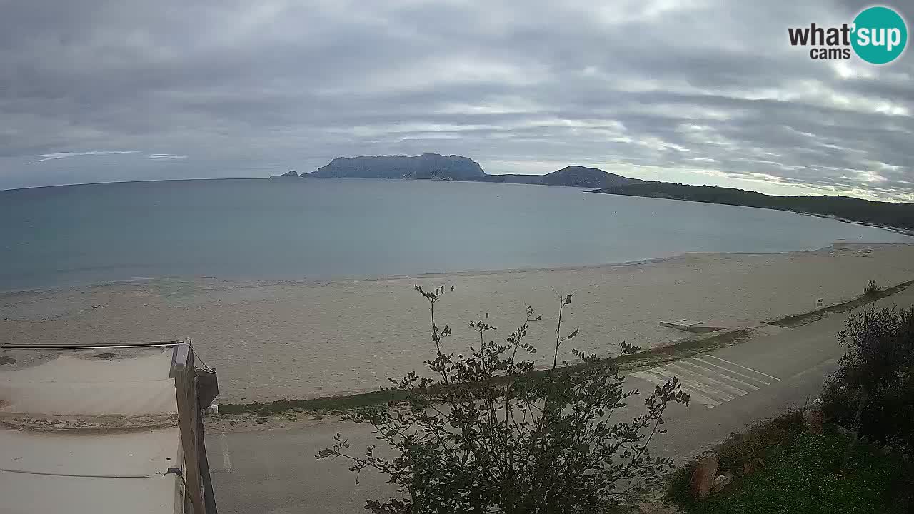 La webcam spiaggia Pittulongu vicino Olbia – Sardegna