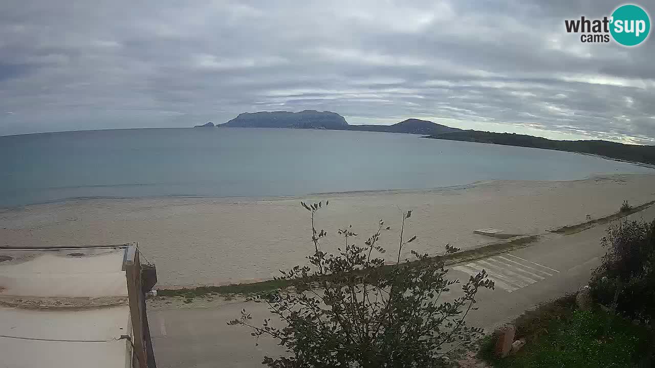 La webcam spiaggia Pittulongu vicino Olbia – Sardegna