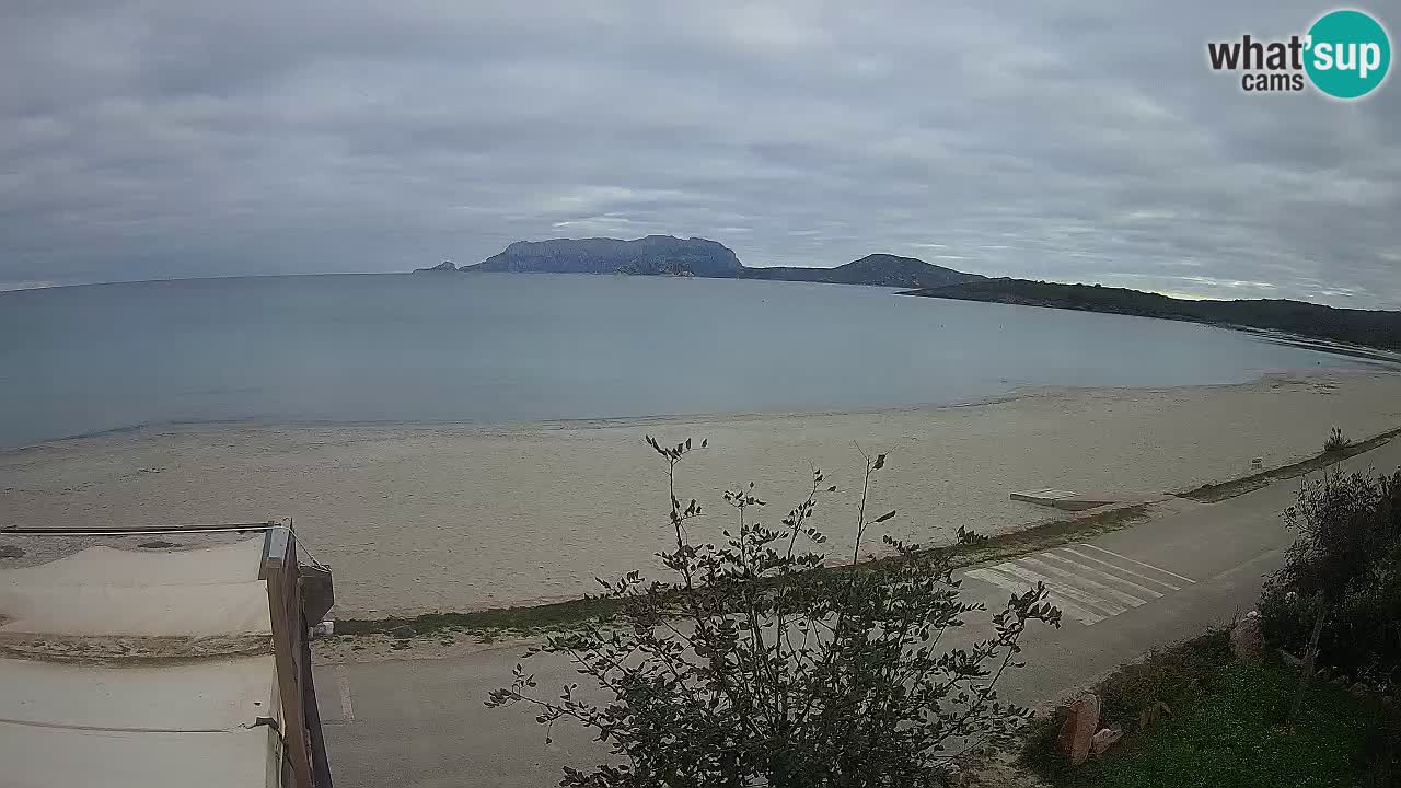 La webcam spiaggia Pittulongu vicino Olbia – Sardegna