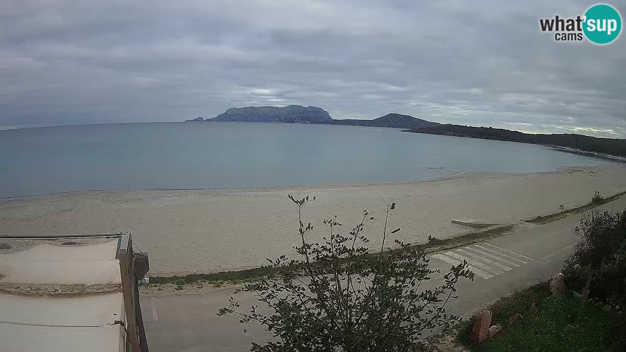 La playa de Pittulongu webcam en vivo Olbia – Cerdeña – Italia