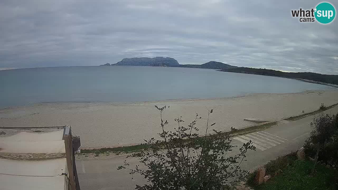 La playa de Pittulongu webcam en vivo Olbia – Cerdeña – Italia