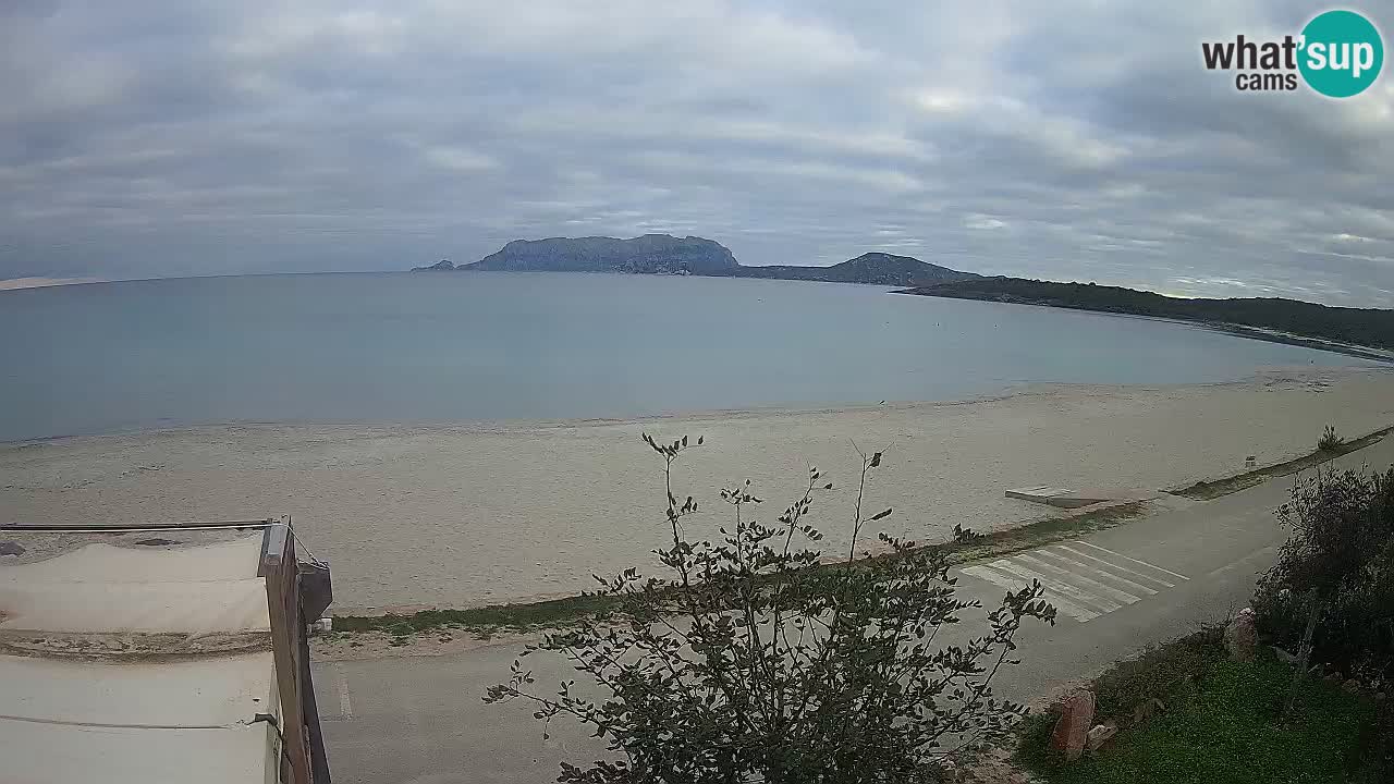 La webcam spiaggia Pittulongu vicino Olbia – Sardegna