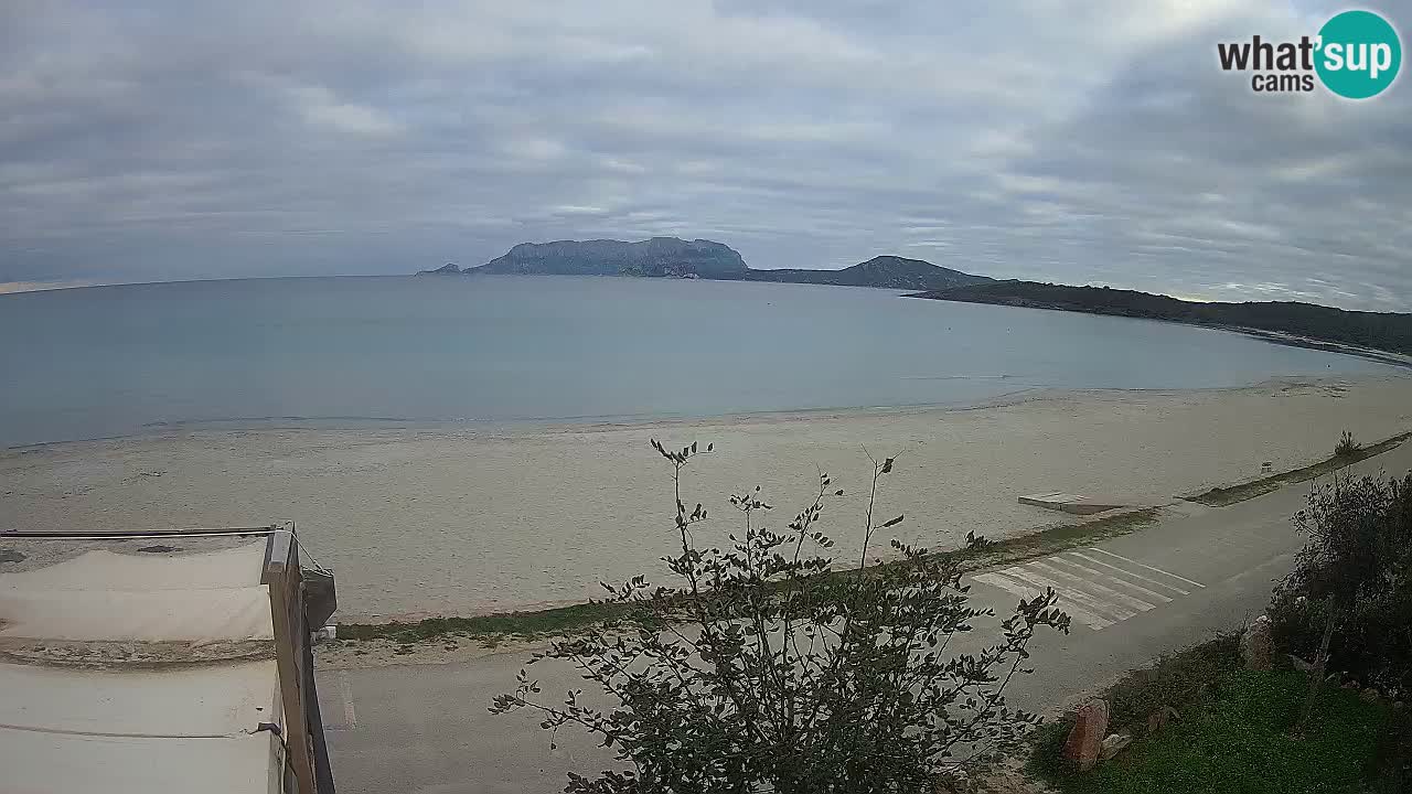 Der Strand von Pittulongu Live-Webcam Olbia – Sardinien – Italien