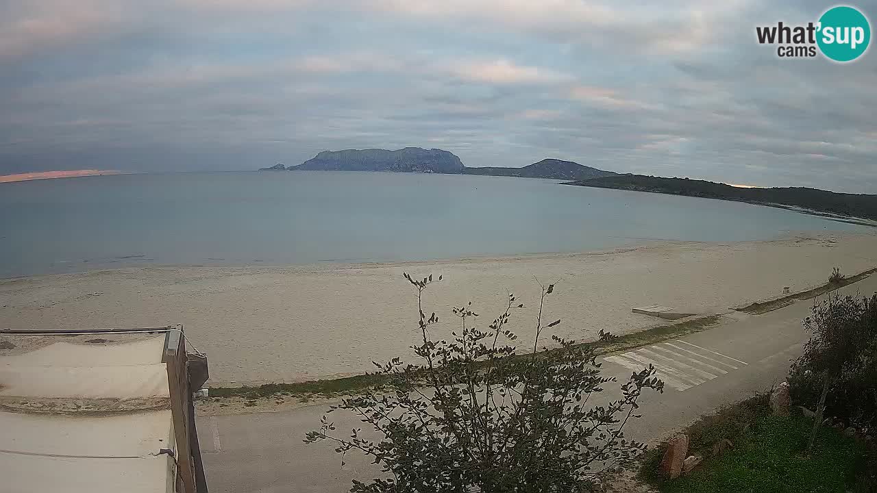 La webcam spiaggia Pittulongu vicino Olbia – Sardegna