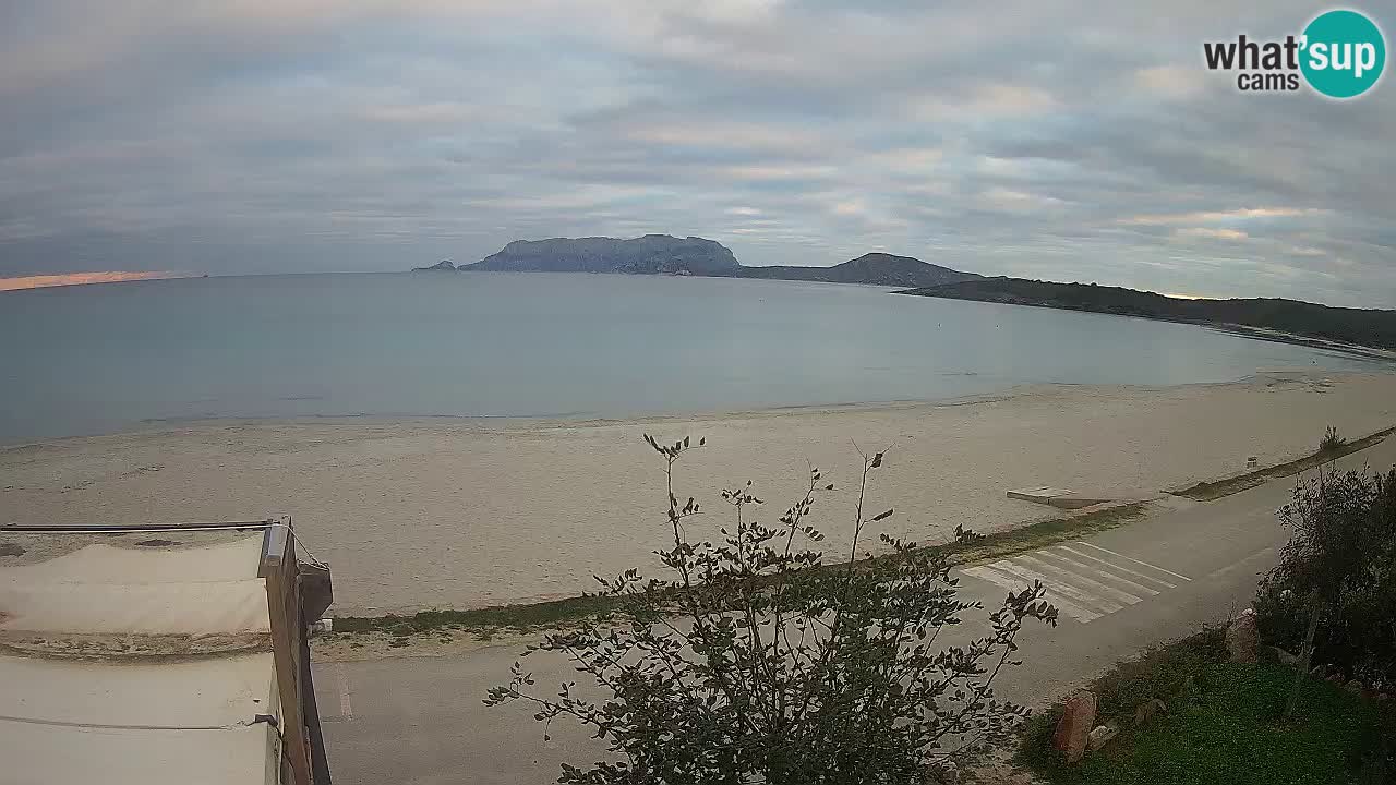 La webcam spiaggia Pittulongu vicino Olbia – Sardegna