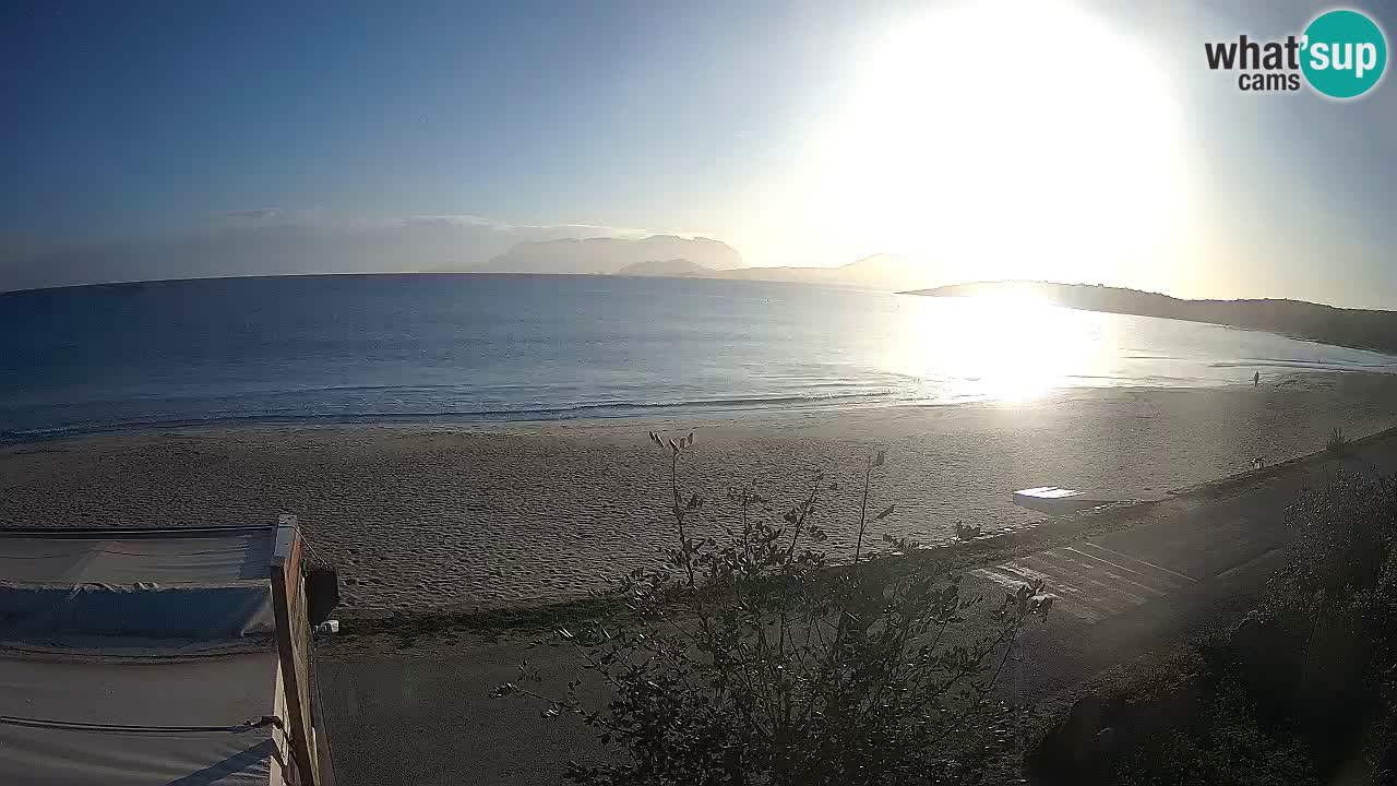 The beach of Pittulongu live webcam Olbia – Sardinia – Italy