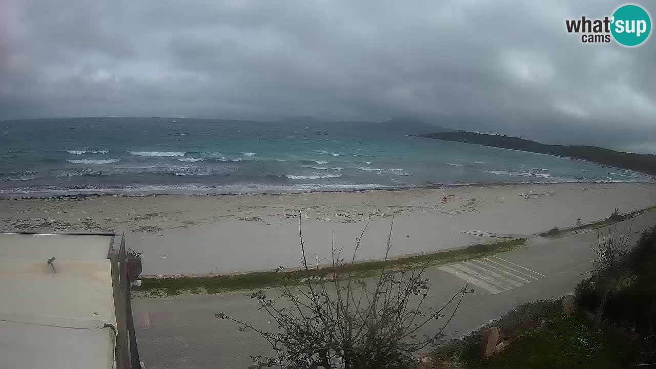 La webcam spiaggia Pittulongu vicino Olbia – Sardegna