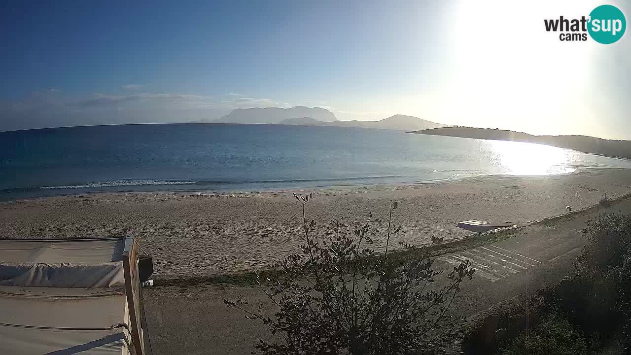 Der Strand von Pittulongu Live-Webcam Olbia – Sardinien – Italien