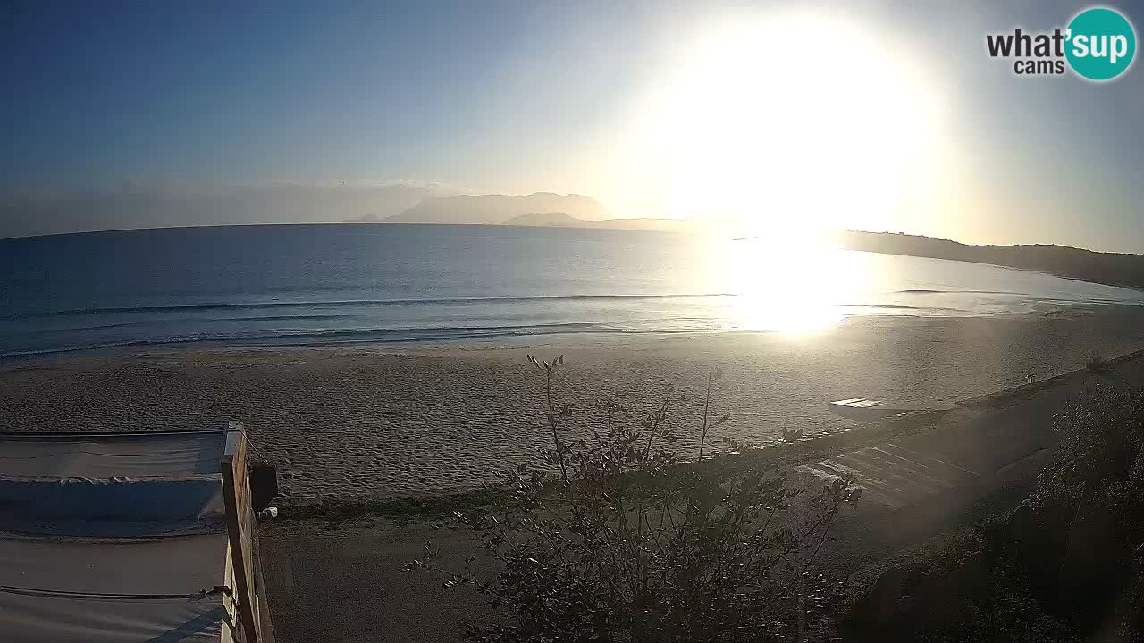 Plaža Pittulongu spletna kamera v živo Olbia – Sardinija – Italija