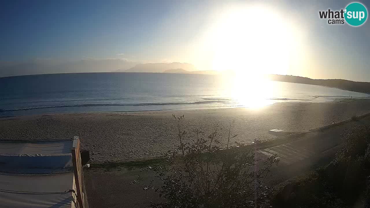 The beach of Pittulongu live webcam Olbia – Sardinia – Italy