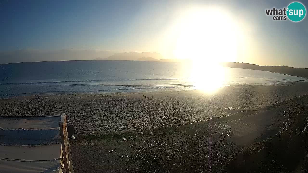 The beach of Pittulongu live webcam Olbia – Sardinia – Italy