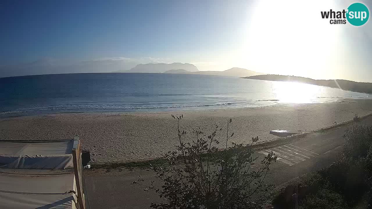 La plage de Pittulongu en direct webcam Olbia – Sardaigne – Italie